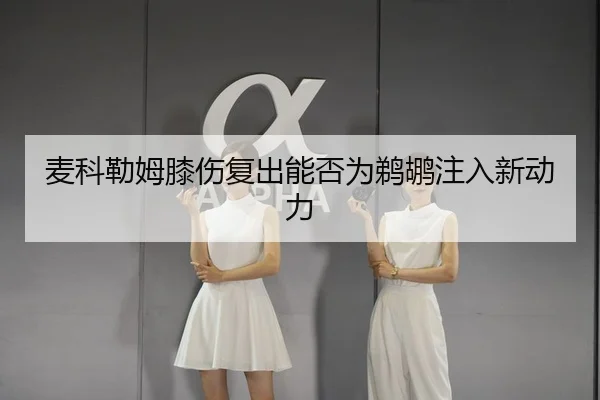 麦科勒姆膝伤复出能否为鹈鹕注入新动力